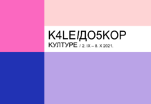 Otvoren javni poziv za ovogodišnji Kaleidoskop kulture u Novom Sadu