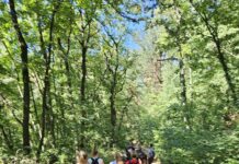 Održano pešačenje na Stazi Lepota&zdravlje – Maraton na Fruškoj gori 2024.