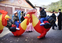 Defile “Meduza” na Petrovaradinskom karnevalu