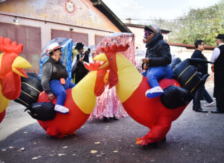 Defile “Meduza” na Petrovaradinskom karnevalu